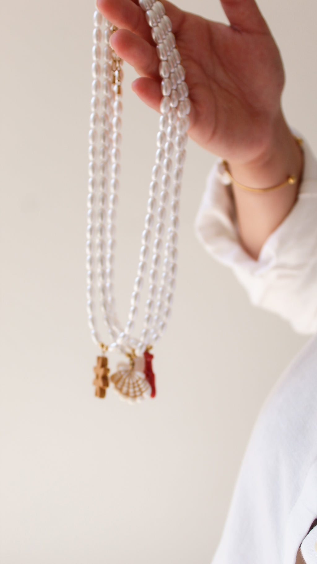 Collier Interchangeable Maréa