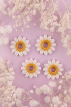 Pâquerette - Collection Éveil Sauvage