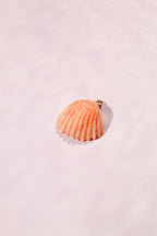 Boucles d'Oreilles Coquillage Eden - Collection Sous l'Océan